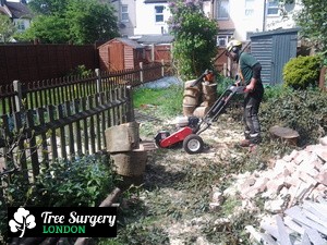 Comprehensive Stump Grinding located in London